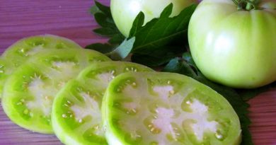 Kako porabiti zelen paradižnik?