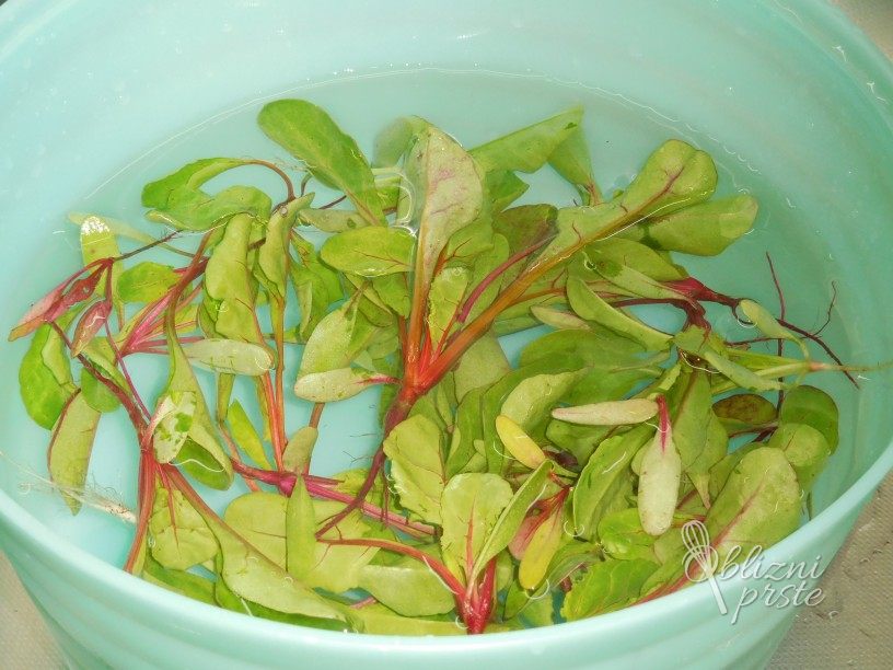 Zelena solata z dodanimi listi rdeče pese in korenčka