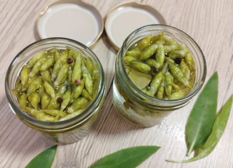 Vloženi čemaževi popki v kis - OblizniPrste.si