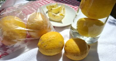 Kako shraniti limone, da jih imamo vedno na razpolago