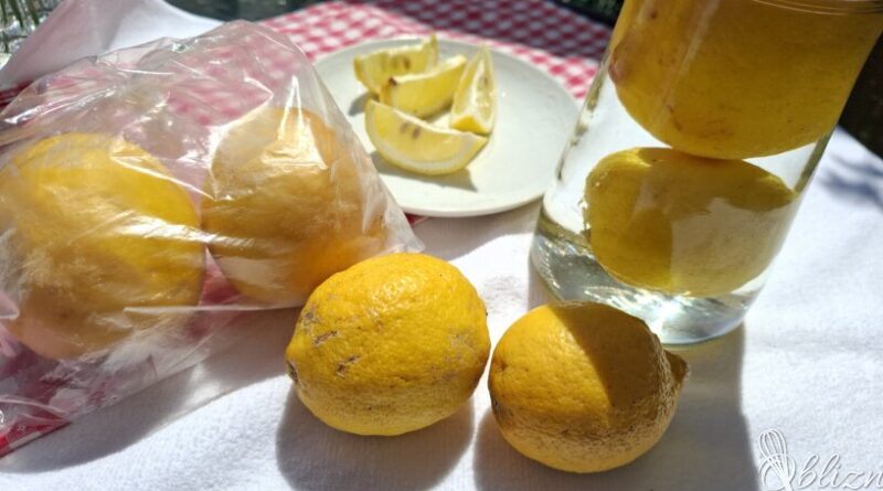 Kako shraniti limone, da jih imamo vedno na razpolago