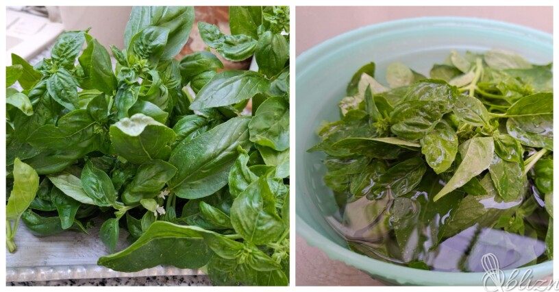 Kako pravilno zamrzniti pesto bazilike