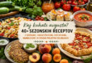 Kaj kuhati avgusta – sezonski recepti z bučkami, paradižnikom, breskvami in marelicami