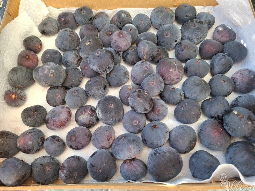 Sušenje in shranjevanje fig