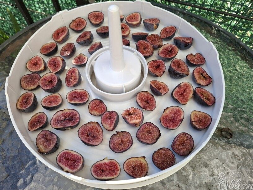 Sušenje in shranjevanje fig