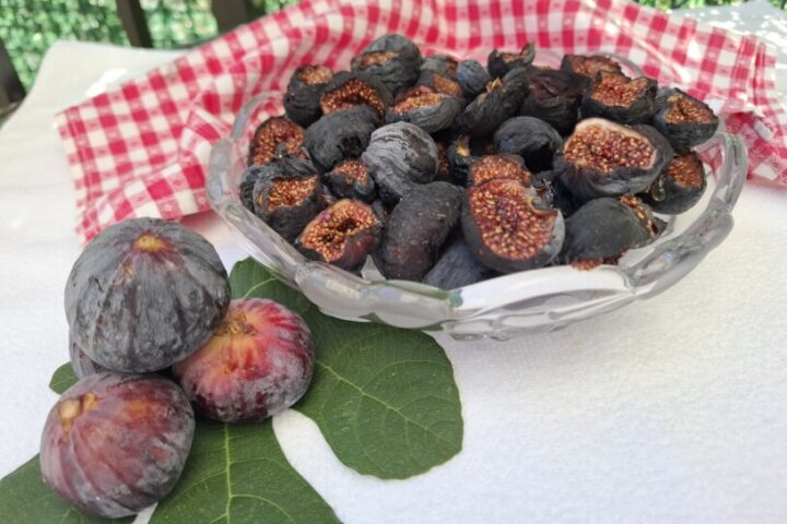 Sušenje in shranjevanje fig